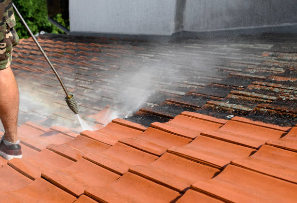 Best Roof Pressure Washing  in Moraine, OH